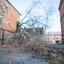 Kaunas ūžia: smarkus vėjas nunešė namo stogą, išvartė medžius