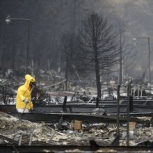 Gaisrų Kalifornijoje aukų padaugėjo iki 86