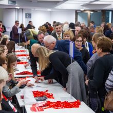 Socialdemokratų kandidatas į prezidentus – V. Andriukaitis