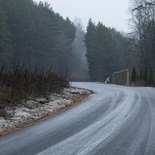 G. Nausėda ragina premjerą kreiptis į VTEK dėl kelio prie jo namų