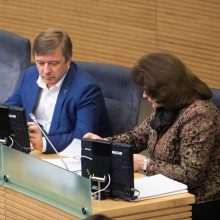 Seimas antrą kartą apsvarstė 2020 metų biudžeto projektą