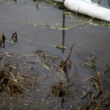 Smeltalės upelyje pastebėti teršalai