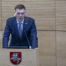 Seimas patvirtino šalies teritorijų planavimo viziją iki 2050-ųjų