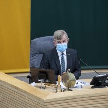 Seimas patvirtino šalies teritorijų planavimo viziją iki 2050-ųjų