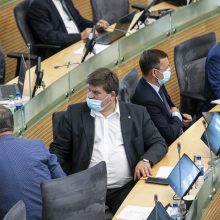 Seimas patvirtino šalies teritorijų planavimo viziją iki 2050-ųjų