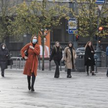 Po antrojo Seimo rinkimų turo Liberalų sąjūdis tikisi padvigubinti mandatų skaičių