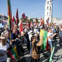 Šeimų sąjūdis ketina surengti dar vieną mitingą prie Seimo: lauks prisijungsiančios opozicijos