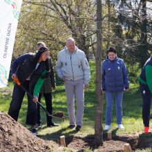 Į Kauną sugrįžta Olimpinė diena: šventėje – daugiau nei 100 nemokamų veiklų ir masiškumo rekordas