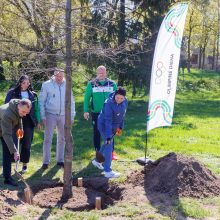 Į Kauną sugrįžta Olimpinė diena: šventėje – daugiau nei 100 nemokamų veiklų ir masiškumo rekordas