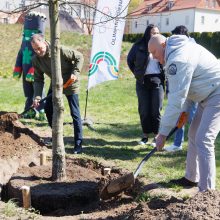 Į Kauną sugrįžta Olimpinė diena: šventėje – daugiau nei 100 nemokamų veiklų ir masiškumo rekordas