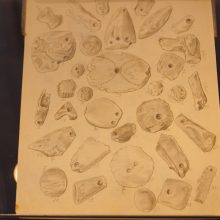 Kretingos muziejus sieks savo nuosavybėn atgauti grafienės dovanotą gintaro kolekciją