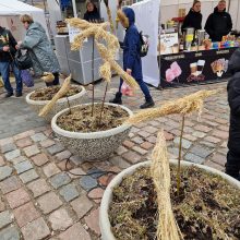 Klaipėdiečiai į Kaziuko mugę traukia verbų ir skanumynų