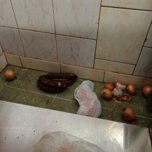 Klaipėdos darželyje maistas laikytas ant grindų, nustatyti porcijų svorio neatitikimai