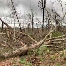 Alabamoje siautėjo mažiausiai 22 gyvybes nusinešęs tornadas