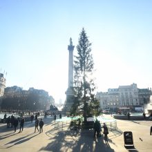 Londono Kalėdų eglė tapo pajuokos objektu