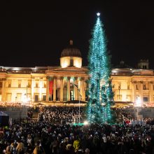 Londono Kalėdų eglė tapo pajuokos objektu