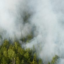 Sibiras dūsta nuo miškų gaisrų sukelto smogo