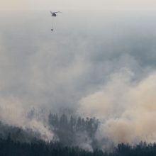 Kovai su miškų gaisrais Sibire bus pasitelkta dar daugiau lėktuvų