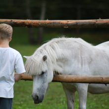 D. Aleksiejūnė: myliu kaimą ir noriu jį parodyti vaikams