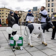 Protestuojantys pienininkai: ministrui turbūt reikėtų pasimuilinti ausis ir nusiplauti liežuvį