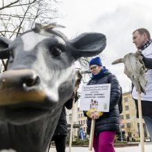 Protestuojantys pienininkai: ministrui turbūt reikėtų pasimuilinti ausis ir nusiplauti liežuvį