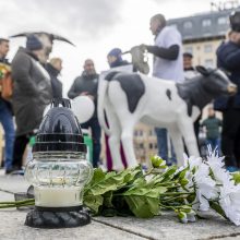 Protestuojantys pienininkai: ministrui turbūt reikėtų pasimuilinti ausis ir nusiplauti liežuvį