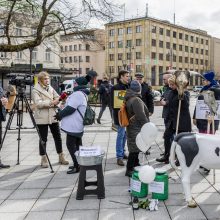 Protestuojantys pienininkai: ministrui turbūt reikėtų pasimuilinti ausis ir nusiplauti liežuvį