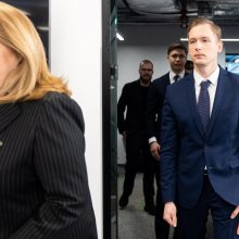 S. Skvernelis: rinkimų rezultatai – geri, bet galėjo būti ir geresni