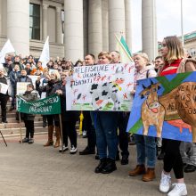 Prie Seimo 1 tūkst. pieno gamintojų reikalauja paramos, K. Navicko pasitraukimo