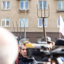 Prie Seimo 1 tūkst. pieno gamintojų reikalauja paramos, K. Navicko pasitraukimo