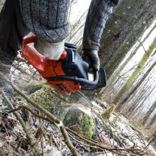 Kelmės rajone virsdamas medis sužalojo vyrą