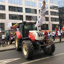 Briuselyje vėl protestuoja Lietuvos ūkininkai: nori didesnių išmokų