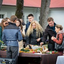 Sveiko maisto šventė: iškyla neapsiriboja tik šašlykais ir traškučiais