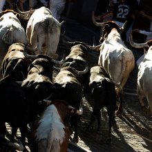 Pamplonoje per bėgimą su buliais sužeisti šeši žmonės