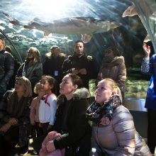 Lietuvos jūrų muziejus kviečia mokytojus