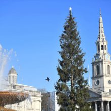 Londono Kalėdų eglė tapo pajuokos objektu