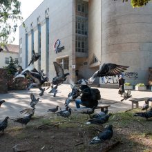 Vilniaus Centro poliklinika saugo gydytojus nuo pacientų