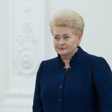 D. Grybauskaitė apie sprendimą dėl brigados: jei vokiečiai pažadėjo, reiškia įgyvendins