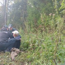 Plungės rajone po nakties paieškų pasitelkus sraigtasparnį rastas pasiklydęs grybautojas