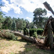 Iki tragedijos – vienas žingsnis: prie kapinių vėjo neatlaikė pušis