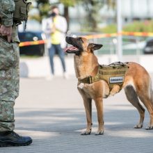 Karo muziejuje – moksleivių pažintis su tarnybiniais keturkojais