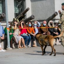 Karo muziejuje – moksleivių pažintis su tarnybiniais keturkojais