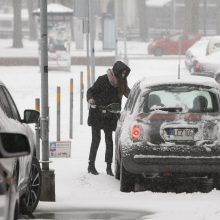 Žiemos iššūkiai klupdo ne tik kelių gaidelius