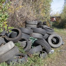 Priekaištams dėl nelegalių sąvartynų – savivaldybės atsakas: norėtųsi daugiau pilietiškumo