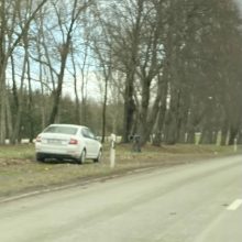 Vėl užkliuvo policininkų elgesys: automobilį pasistatė ant žalios vejos ir skiriamojoje juostoje?