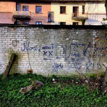 Klaipėdos universiteto pastatus atakuoja grafitininkai