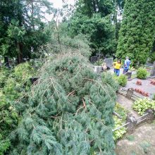 Audros padariniai Eigulių kapinėse: vaizdas – kaip po karo