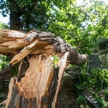 Audros padariniai Eigulių kapinėse: vaizdas – kaip po karo