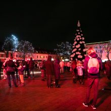 Kauno Kalėdų eglės abejingų nepalieka: šių metų ar pernykštė labiau žavi?