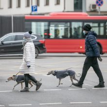 Naujausi mobilumo duomenys: kaip vilniečiai judėjo pirmąją metų savaitę?